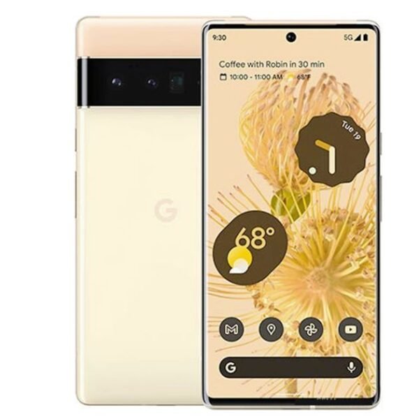 pixel 6 pro ( scelle)